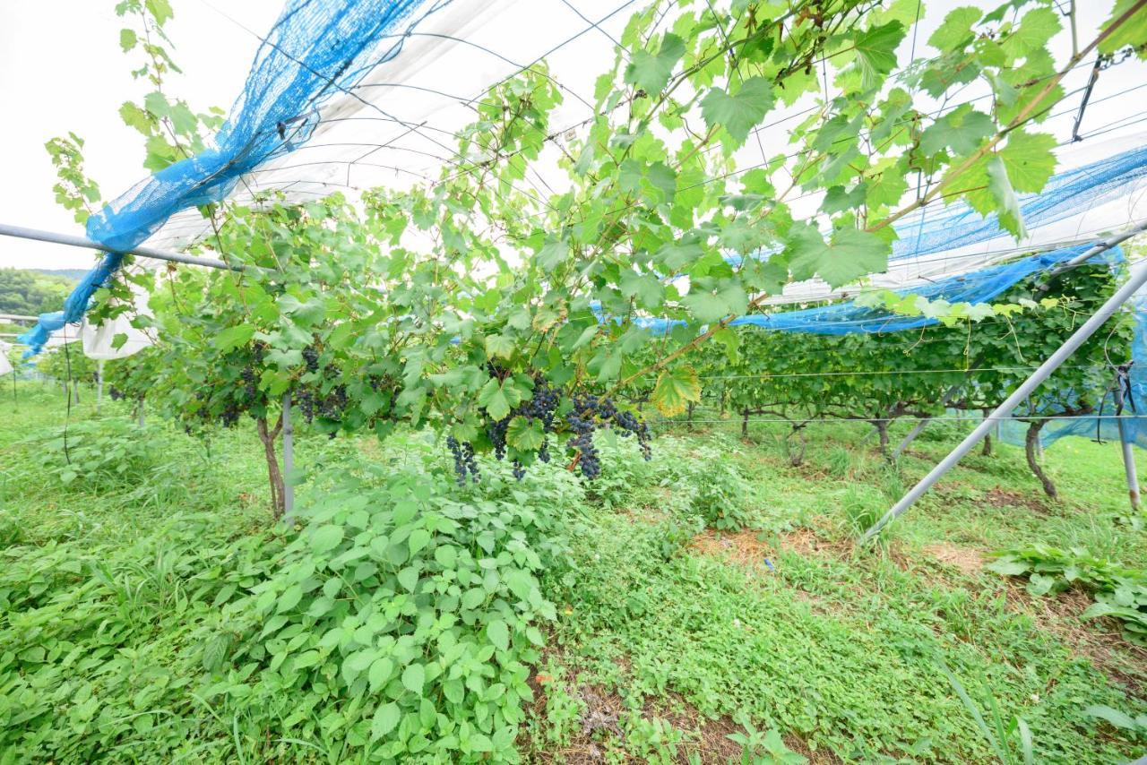 由布市 由布院蔓荡苍酒店 外观 照片